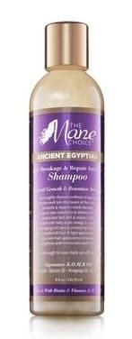 The Mane Choice (Ancient Egyptian) Shampoing Réparateur et Anti-casse 8oz